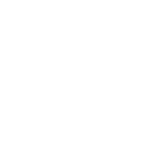 Circle icon